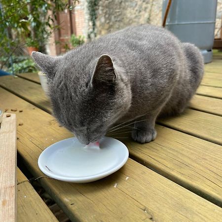 Santa Caterina - Dog Friendly With Garden Villa Sobrestany ภายนอก รูปภาพ
