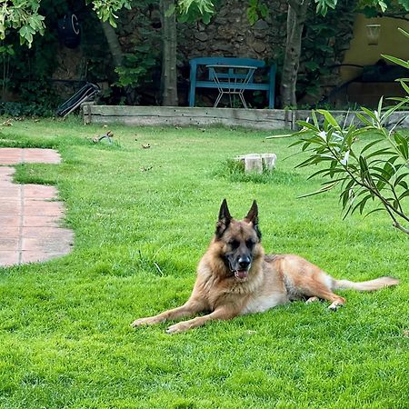 Santa Caterina - Dog Friendly With Garden Villa Sobrestany ภายนอก รูปภาพ