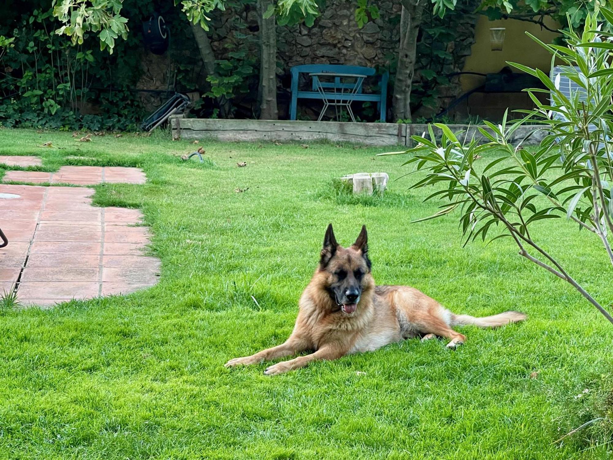 Santa Caterina - Dog Friendly With Garden Villa Sobrestany ภายนอก รูปภาพ
